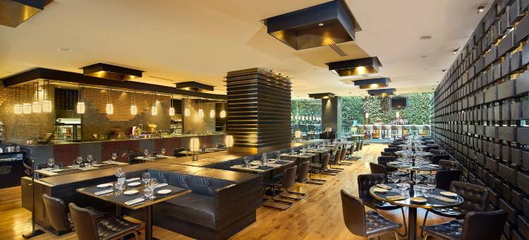 墨西哥城卡米奥里尔波兰科酒店(Camino Real Polanco Mexico)图片