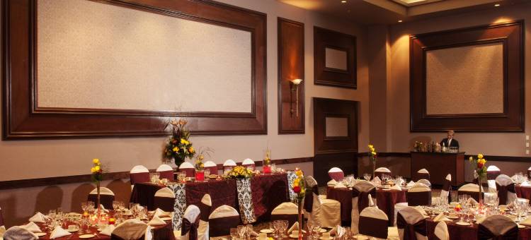 高贵林行政广场酒店(Executive Plaza Hotel & Conference Centre, Metro Vancouver)图片