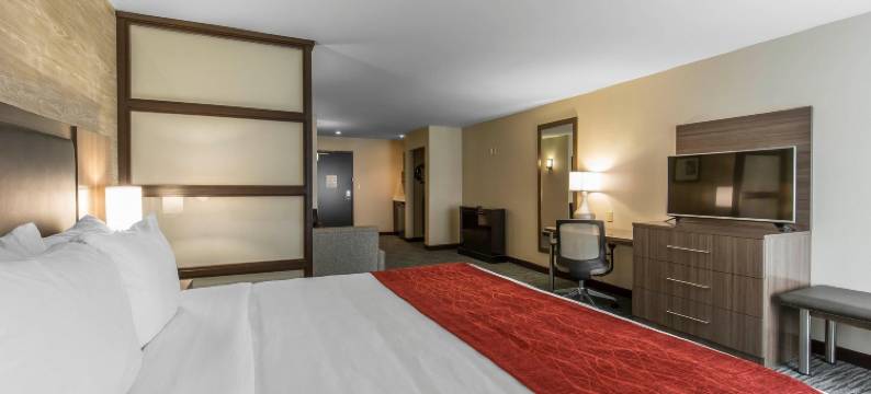 舒适酒店及套房-机场北(Comfort Inn & Suites Airport North)图片