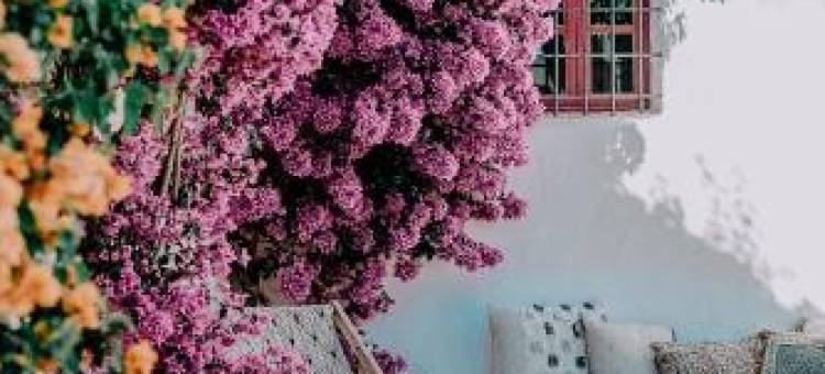 卡恩萨斯特雷(Hotel Can Sastre)图片