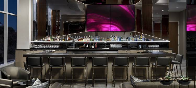 旧金山机场/牡蛎角海滨AC酒店(AC Hotel San Francisco Airport/Oyster Point Waterfront)图片