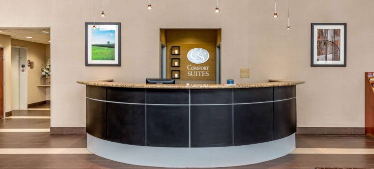 埃尔克哈特南舒适套房酒店(Comfort Suites South)图片