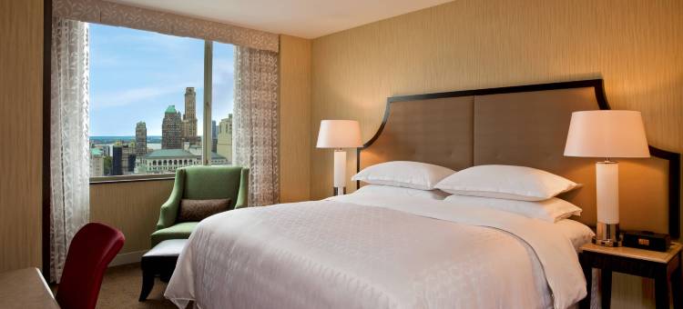 纽约布鲁克林喜来登酒店(Sheraton Brooklyn New York)图片