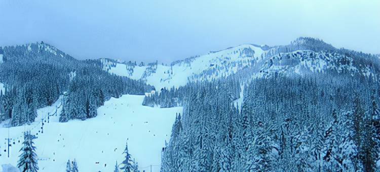 桑迪贝斯特韦斯特酒店(Best Western Sandy Inn)图片