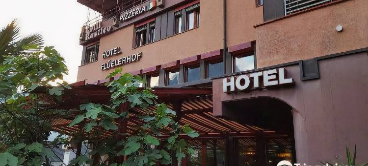 夏尔尼鲁斯蒂科弗吕嫩住宿加早餐酒店(Hotel Flüelerhof)图片
