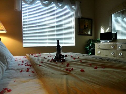 Sunny DreamsOver view