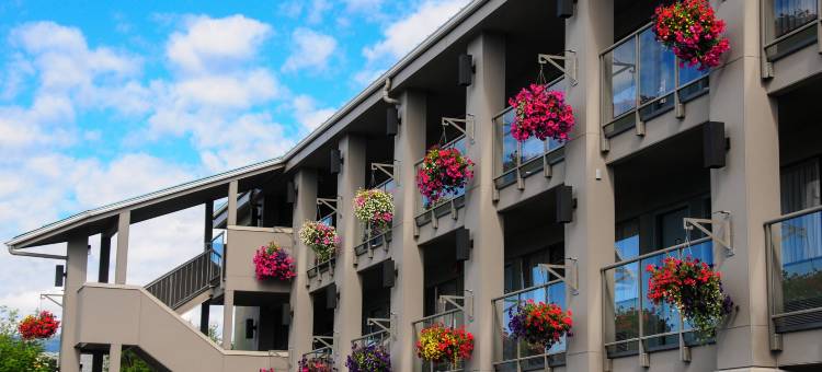 雅绅特温哥华机场公寓(Accent Inns Vancouver Airport)图片