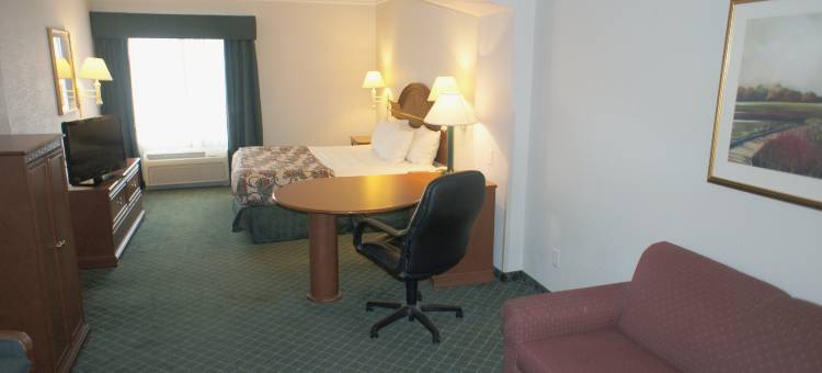 弗鲁塔拉昆塔温德姆套房酒店(La Quinta Inn & Suites by Wyndham Fruita)图片