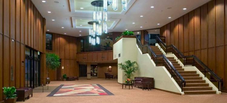 希尔顿贝尔维尤酒店(Hilton Bellevue)图片