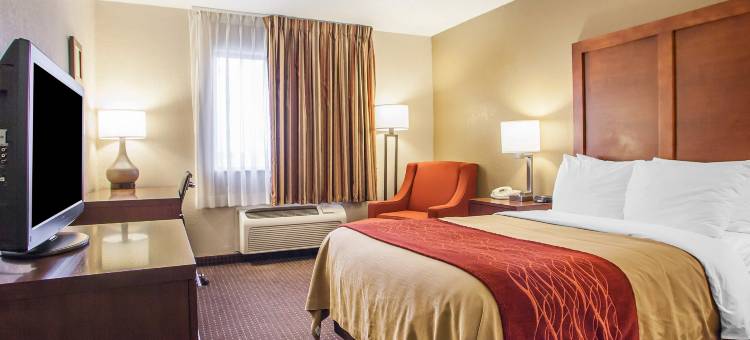 韦弗利凯艺酒店(Quality Inn Waverly)图片