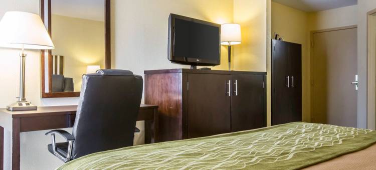 希尔顿金博尔 Spark 酒店(Spark by Hilton Kimball)图片