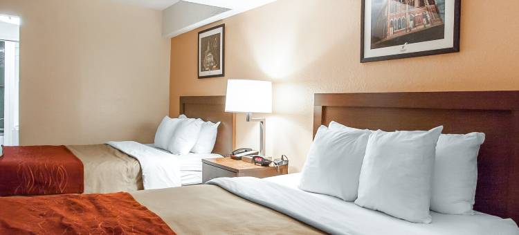 纳什维尔市中心舒适酒店-音乐城中心(Comfort Inn Downtown Nashville - Music City Center)图片