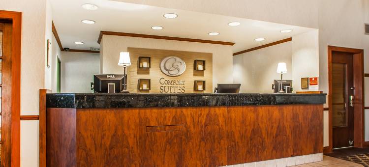 密尔沃基机场舒适套房酒店(Comfort Suites Milwaukee Airport)图片