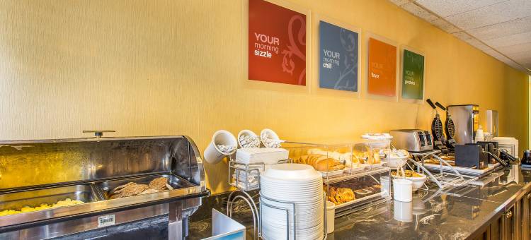 舒适套房酒店-大学(Comfort Suites at the University)图片