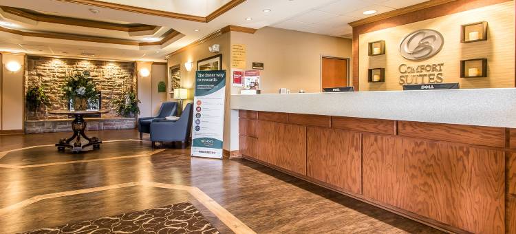 罗拉舒适套房酒店(Comfort Suites)图片