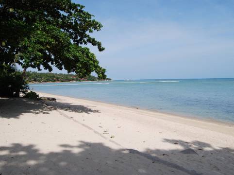 玫瑰園蘇梅島別墅酒店