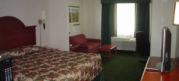 史密斯堡拉昆塔温德姆套房酒店(La Quinta Inn & Suites by Wyndham Fort Smith)图片