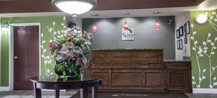 舒眠套房酒店(Sleep Inn & Suites Stockbridge Atlanta South)图片