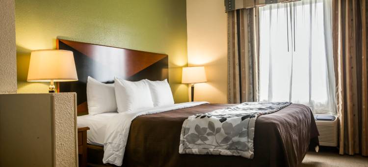 蒙哥马利东I-85东舒眠套房酒店(Sleep Inn & Suites Montgomery East I-85)图片