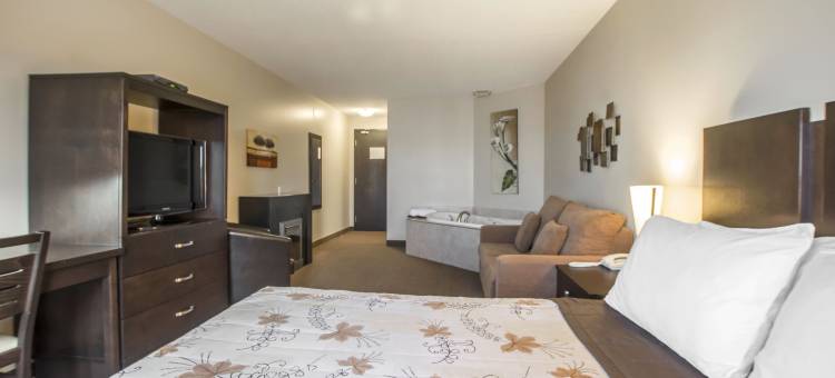 伊克诺套房旅馆(Econo Lodge Inn & Suites)图片