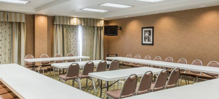 亚特兰大南部麦克多诺舒适套房酒店(Comfort Suites McDonough Atlanta South)图片