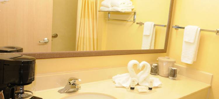 亨茨维尔万豪万枫酒店(Fairfield Inn Huntsville)图片