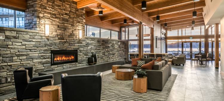 舒适套房酒店(Comfort Inn & Suites)图片