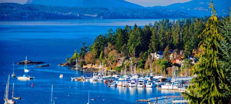 布伦特伍德海湾度假酒店及Spa(Brentwood Bay Resort & Spa)图片