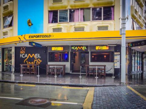 奧克蘭胖駱駝揹包客旅館