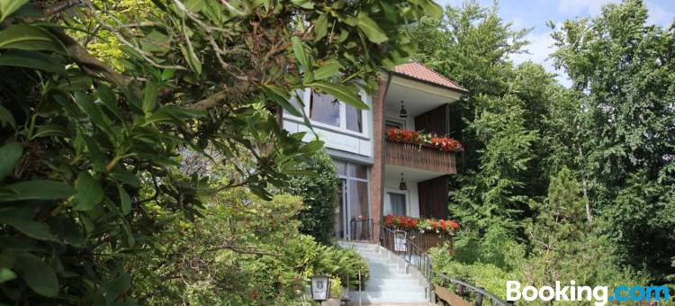 巴特格伦德塔布里克旅馆(Pension Talblick Bad Grund)图片