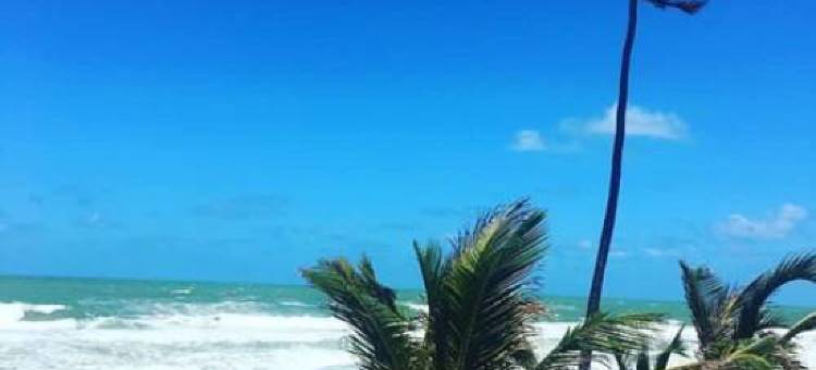 伊可民宿(EcoCasa Rio Sauípe 200 m da Praia)图片