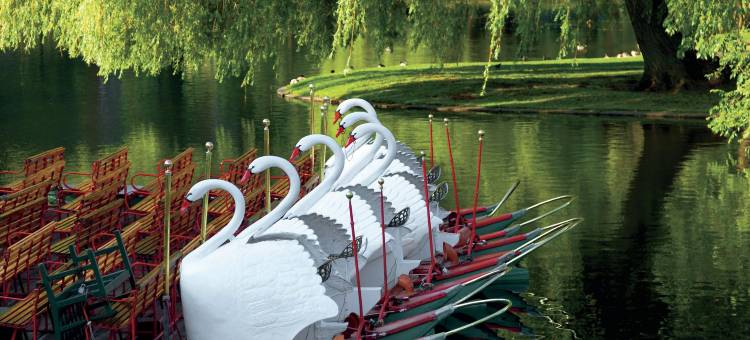 波士顿丽思卡尔顿酒店(The Ritz-Carlton, Boston)图片