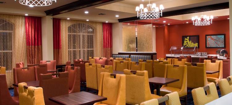 奥兰多湖布埃纳文图拉万豪万枫酒店(Fairfield Inn & Suites Orlando Lake Buena Vista)图片