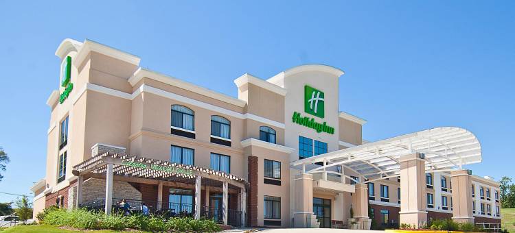 Holiday Inn 维克斯堡(Holiday Inn Vicksburg)图片