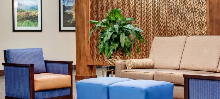 舒适套房酒店(Comfort Inn & Suites)图片