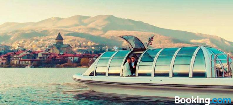 巴基内提酒店(Hotel Bagineti)图片