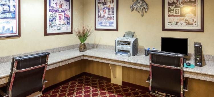 德克萨斯州山坡乡村舒适套房酒店(Comfort Inn & Suites Texas Hill Country)图片