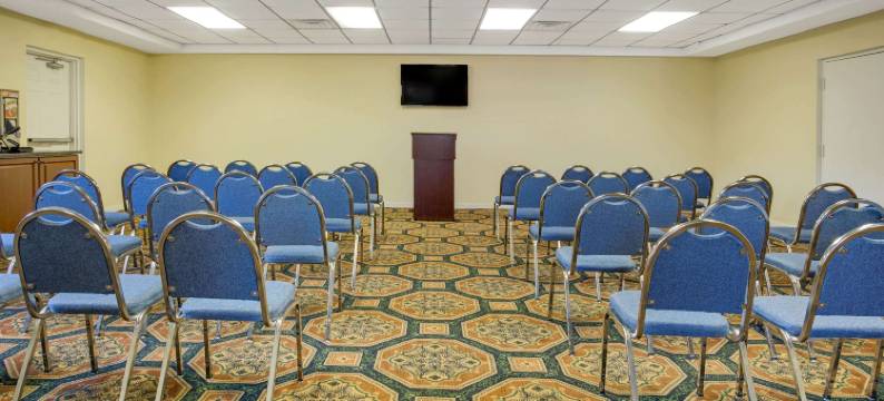 南坦帕套房酒店(Hotel South Tampa & Suites)图片