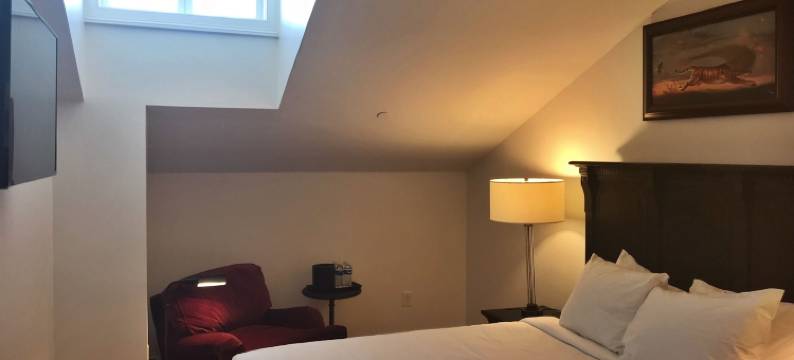 皇家新鲜人酒店及酒吧(Royal Frenchmen Hotel and Bar)图片