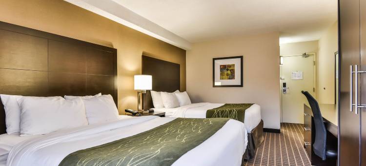 温莎舒适酒店(Comfort Inn)图片