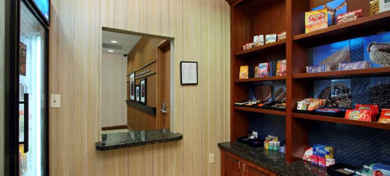 埃克莫尔东海岸希尔顿欢朋套房酒店(Hampton Inn & Suites Exmore - Eastern Shore)图片