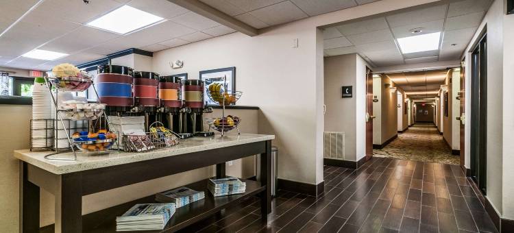 圣彼得堡西假日酒店(Holiday Inn ST. Petersburg West)图片