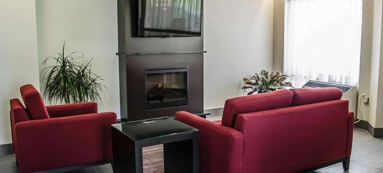 舒适酒店-南岸(Comfort Inn South Shore)图片