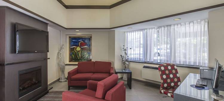 舒适酒店(Comfort Inn)图片