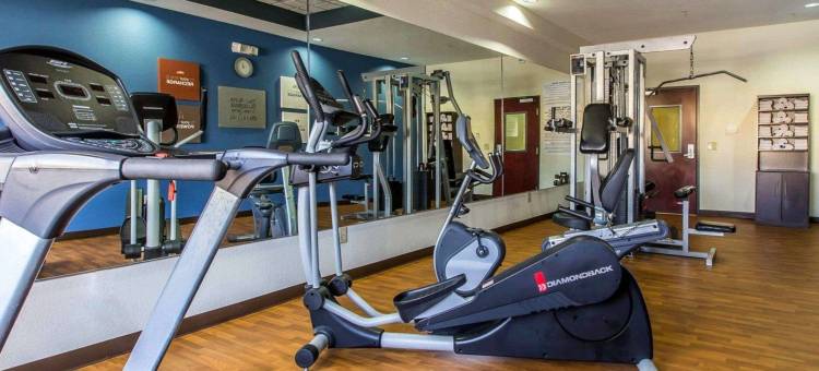 舒适套房酒店(Comfort Suites)图片