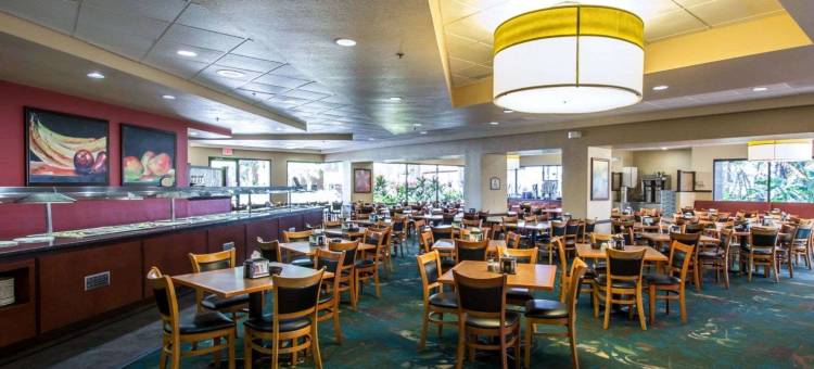 奥兰多布纳维斯塔湖罗森酒店(Rosen Inn Lake Buena Vista)图片