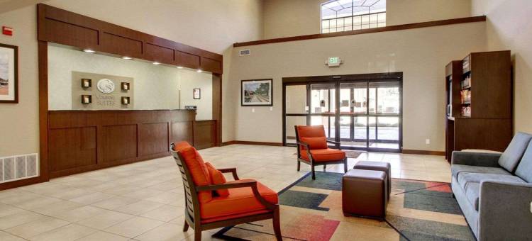 舒适套房酒店-泰勒南(Comfort Suites Tyler South)图片