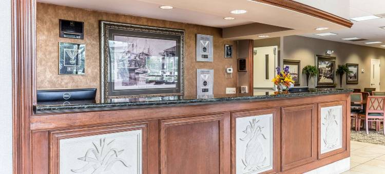 凯艺套房酒店(Quality Inn & Suites)图片