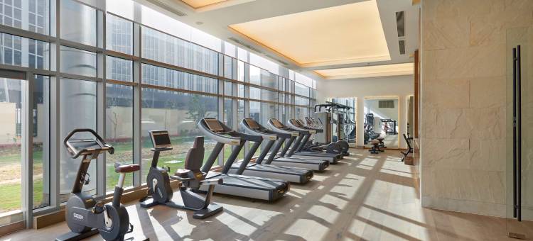 德里安达仕酒店(ANDAZ DELHI, BY HYATT)图片