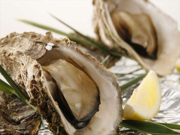 Yuhigaura Onsen Shinkaiso Kyoto Hotel Reviews And Room Rates - 